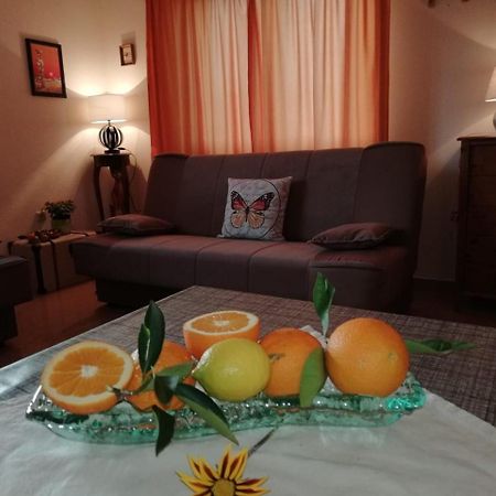 Apartment Marina Slatine Zewnętrze zdjęcie